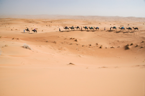 Desert